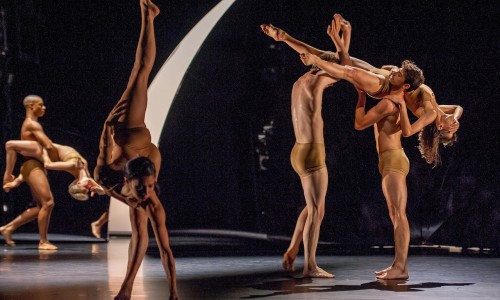 Devenir agile et évolutif. Développer les coopérations